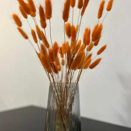 Timco With Balcony And Air-conditioner * Torno